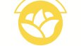 ZZ Spa - Instagram İçerikleri