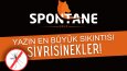 Spontane Grup • El Broşürü ve Pankart Tasarımı