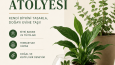 SOSYAL MEDYANIZ İÇİN  GRAFİK TASARIM ÖRNEKLERİ