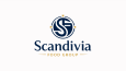 Scandivia Food Group Logo Tasarımı