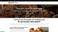 Web Site