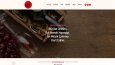 Profesyonel wordpress web site yapıyoruz