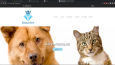 Web Site