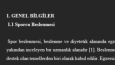 Profesyonel metin yazarlığı