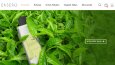 E-ticaret Paketleri ve E-ticaret Sitesi Yazılımları