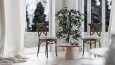 BOHEM / SPOR SALON