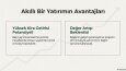 Profesyonel İnfografik ve Sunum Tasarımı
