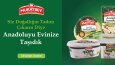 Banner- Mailing- Reklam