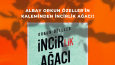 Kitap Tasarımları