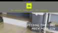 premium Shopify temaları ile site tasarımı