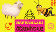 Youtube kanalım üzerinden videolarım referans olabilir.