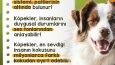 Harveld - Sosyal Medya Tasarımları