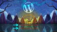 Wordpress kullanarak verdiğim hizmetler