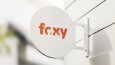 Foxy Logo Tasarımı