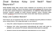 SEO İçerik, Web Metni ve Editörlük Portfolyosu