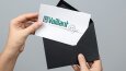VAILLANT 25.YIL; LOGO ve KURUMSAL KİMLİK TASARIMI
