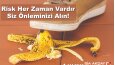Sosyal Medya İçerikleri