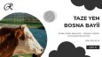 Banner ve post tasarımları
