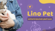 Lino Pet Banner Çalışmaları