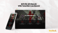 Web Tasarım Çalışmalarımız -4