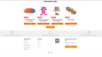 Shopify Web Sitesi Taşıma