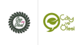 Creative Logo Design