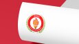 Logo Tasarımları
