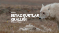 Seslendirme çalışmaları
