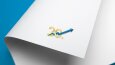 Logo Designs