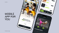 Fitness App