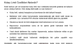 SEO İçerik - Metin Yazarlığı Portfolyosu