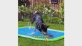 Köpekler İçin Sulu Oyun Matı Video Reklamları