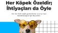 Sosyal medya görselleri