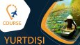 banner tasarımı