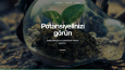 Web Site Örneği 2 