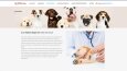 Pet Love 