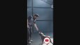 Reels - Tiktok Tarzı Videolar