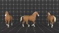3D Animasyon Çalışmalarım