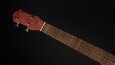 Ukulele