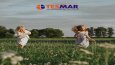Video Çalışmaları