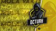 Twitch Kanalı İçin Yayın İçi Hareketli Grafik Tasarımı