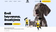 Web Sitesi Tasarımları