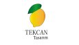 Profesyonel Logo Tasarımı