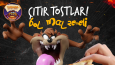 Sosyal Medya İçerikleri