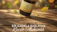 Sosyal Medya