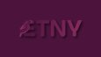 ETNY - Etnik Gıda Tedarik Web Sitesi Logo Tasarımı B2B