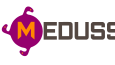 Medussa Logo Tasarımı