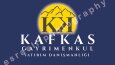 Sessiz ve Dengeli Bir Logo Portresi 