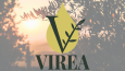 VIREA - Logo Tasarımı