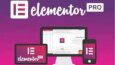 Elementor Pro eklentisi kurabilirim